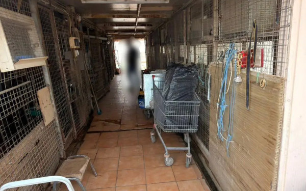 Ο ΕΦΕΤ αρνείται την εμπλοκή του για το περιστατικό παράνομης εκτροφής ζώων σε ταράτσα στους Αμπελόκηπους