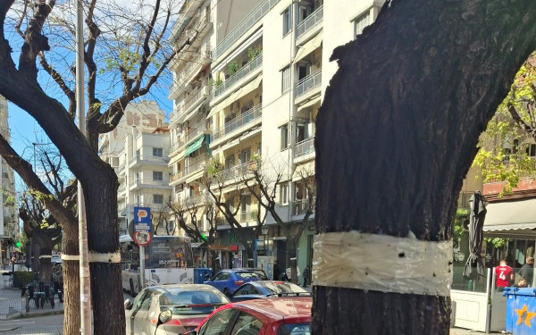 Το ανέκδοτο με το ασυμβίβαστο, η φραγή στα κινητά... των γονέων, το τέλος του αντικαπνιστικού νόμου και οι φτελιές της Θεσσαλονίκης. Γράφει ο Σαλονικιός