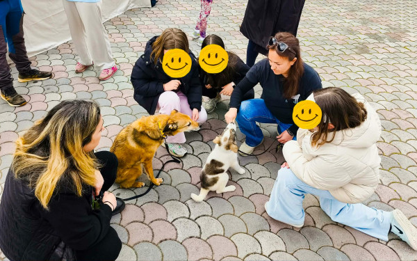 Χαλκιδική: Δράση υιοθεσίας αδέσποτων στον Δήμο Πολυγύρου