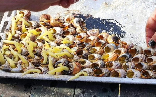 Ένα μοναδικό Πασχαλινό έθιμο στην Κέρκυρα - Το άναμμα των σαλιγκαριών αναβιώνει και φέτος