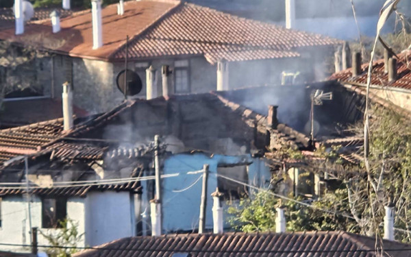 Χαλκιδική: Στάχτη τρία σπίτια από τη φωτιά που ξέσπασε τη νύχτα στη Νικήτη - Εικόνες καταστροφής