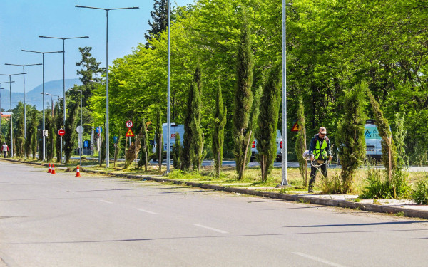 Δήμος Θεσσαλονίκης: Καλεί νέους και νέες να καταθέσουν προτάσεις για το περιβάλλον
