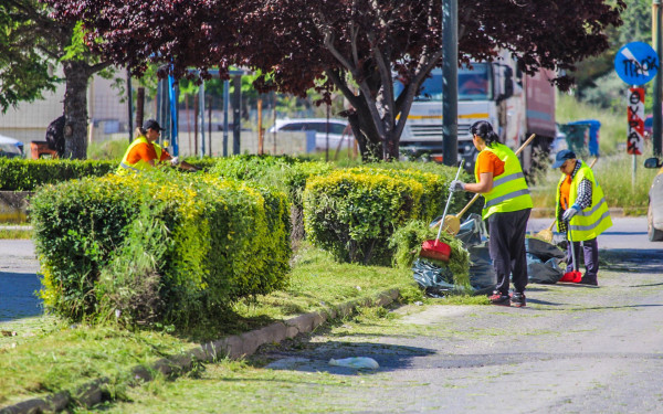 Δράση Συντήρησης Πρασίνου στις Κοινότητες του Δήμου Δέλτα - Ξεκίνημα από τη Σίνδο