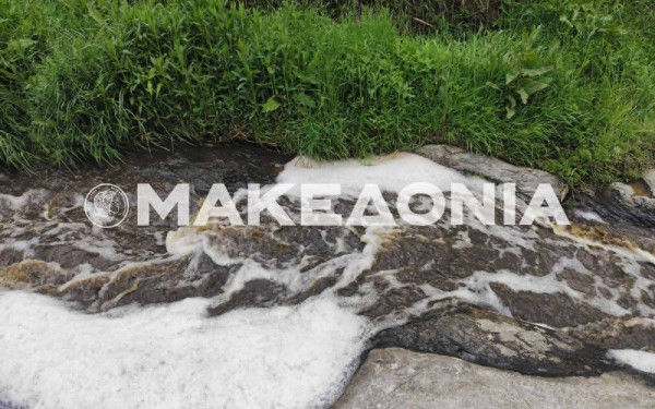 Βόλβη - Περιβαλλοντική «βόμβα: Ρίχνουν υγρά απόβλητα σε ρέμα που καταλήγει στη λίμνη - Συναγερμός από τον Δήμο (βίντεο)
