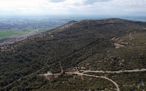 Ωραιόκαστρο: Άσκηση αντιμετώπισης δασικής πυρκαγιάς μεγάλης έκτασης