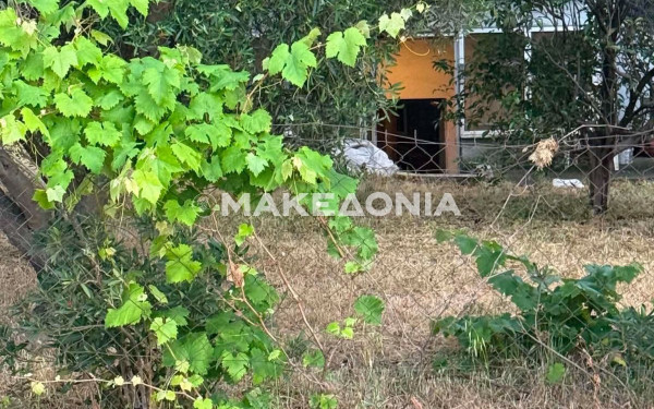Θέρμη: 67χρονος βρέθηκε νεκρός στο σπίτι του στο Τριάδι - Τον σκότωσε ο γιος του