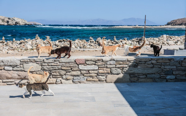 Καμπανάκι για τη Δήλο: Το νησί βυθίζεται ένα εκατοστό τον χρόνο