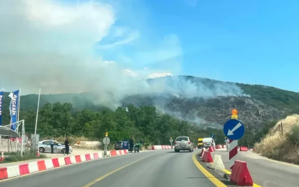 Θεσσαλονίκη: Τρεις συλλήψεις για την πυρκαγιά στο Φίλυρο - Αύριο ενώπιον του εισαγγελέα οι δράστες