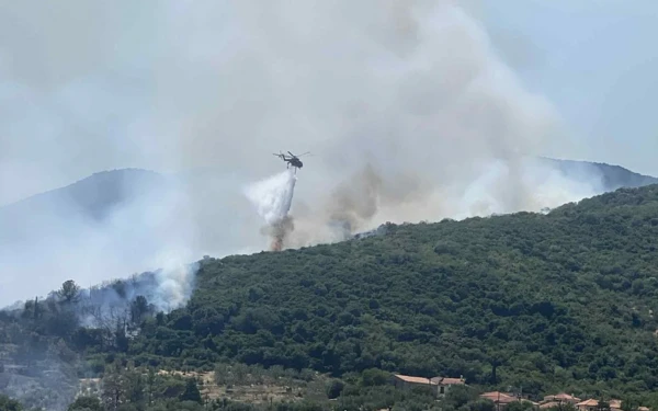 Φωτιά σε αγροτική έκταση στον Μώλο Φθιώτιδας: Κινητοποίηση και από αέρος