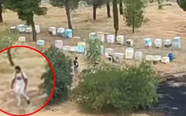 Συνελήφθη ο 45χρονος μελισσοκόμος που έβαλε τη φωτιά στο Άλσος Βεΐκου