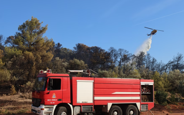 Σαλαμίνα: Υπό μερικό έλεγχο η πυρκαγιά στα Αμπελάκια