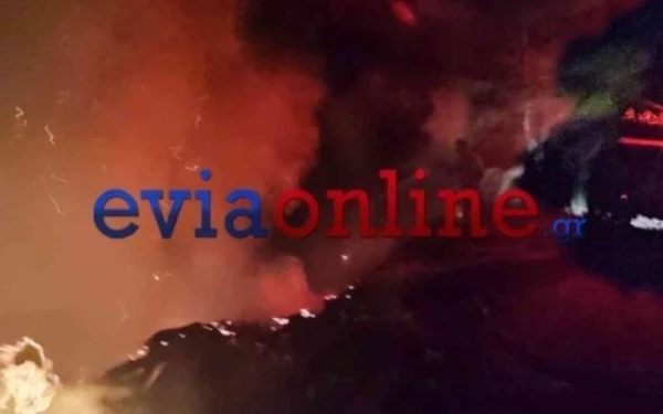 Συναγερμός στην Εύβοια: Μάχη με τις φλόγες δίνουν πυροσβέστες και κάτοικοι στο Μίστρο