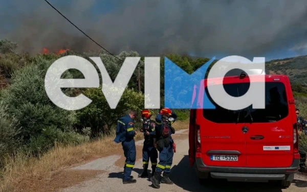 Φωτιά σε δάσος στην Εύβοια – Ισχυρές δυνάμεις στη μάχη της κατάσβεσης (φωτό + βίντεο)