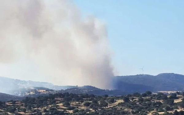 Φωτιά σε δάσος στην Εύβοια: Εκκενώνονται Μεσοχώρια και Ραπταίοι - Επιχειρούν 120 πυροσβέστες και 15 εναέρια (φωτό + βίντεο)