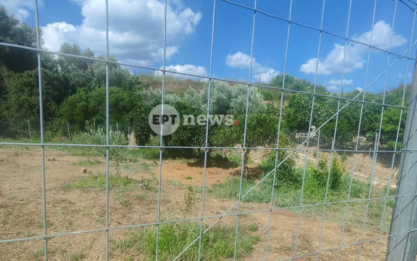 Έδεσε και φίμωσε την άτυχη Σταυρούλα ο Σκοπιανός - Τα πρώτα ευρήματα από τη σορό της 45χρονης