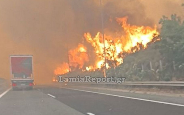 Συναγερμός στη Βοιωτία: Έκλεισε η Αθηνών-Λαμίας - Πυρκαγιά σε εξέλιξη στο Ακραίφνιο - Ήχησε το 112