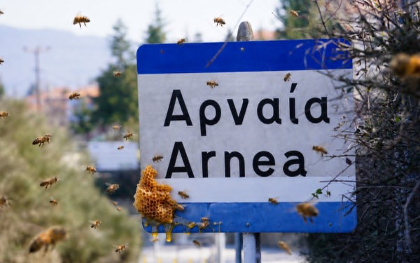 Το πρώτο μουσείο μελιού στην Ελλάδα γεννιέται στην Αρναία