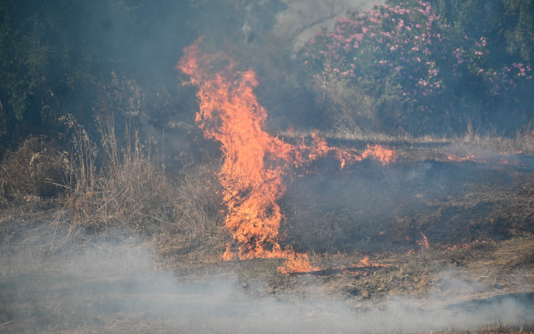 Μεγάλη φωτιά στη Χαλκιδική κοντά σε σπίτια - Μήνυμα από το 112