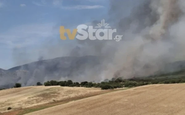 Συναγερμός στον Ορχομενό Βοιωτίας: Μαίνεται η μεγάλη πυρκαγιά - Ενισχύθηκαν οι επίγειες και εναέριες δυνάμεις