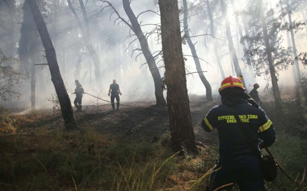 Υψηλός κίνδυνος πυρκαγιάς σε τέσσερις περιοχές - Σε επιφυλακή Θεσσαλονίκη, Κιλκίς και νησιά