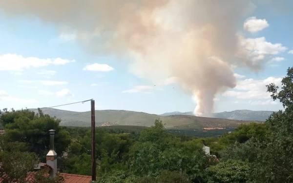 Meteo: Η φωτιά στην Οινόη δημιούργησε τον δικό της καιρό (βίντεο)