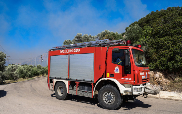 Υπό μερικό έλεγχο η φωτιά στον Ορχομενό Βοιωτίας - Χωρίς ενεργό μέτωπο