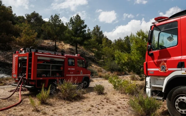 Πιερία: Υπό μερικό έλεγχο η φωτιά στη Βρία Κατερίνης