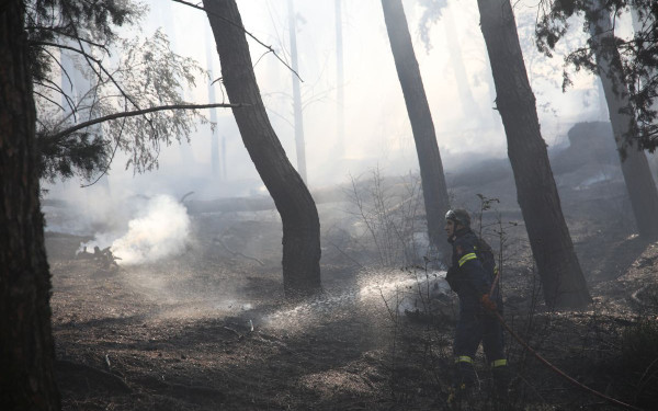 Τρίκαλα: Πήγε να φτιάξει τα κάγκελα και προκάλεσε φωτιά - Σύλληψη και «τσουχτερό» πρόστιμο για 52χρονο
