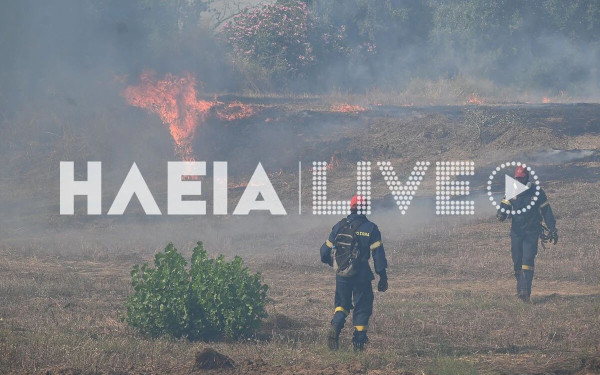 Ηλεία: Δύσκολη πυρκαγια΄στη Βάρδα - Συνεχείς αναζωπυρώσεις από τους ισχυρούς ανέμους - Δείτε εικόνα