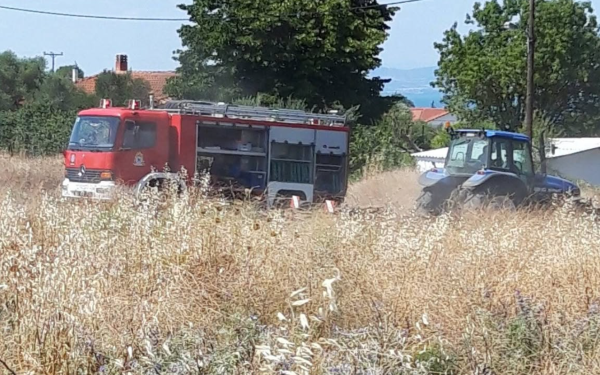 Θεσσαλονίκη: Χωρίς ενεργό μέτωπο μέσα σε 45 λεπτά η φωτιά στη Νέα Κερασιά (βίντεο)
