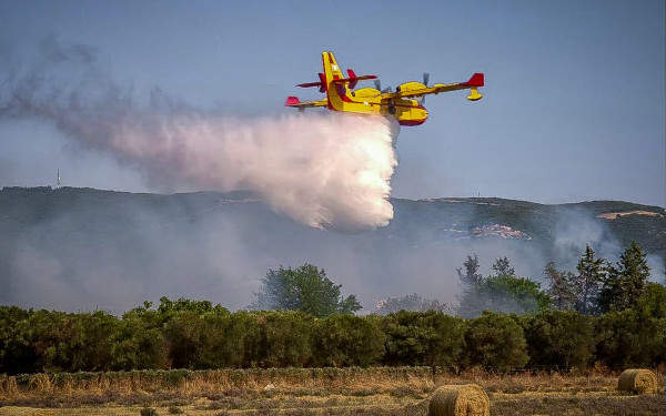 Θεσσαλονίκη: Yπό μερικό έλεγχο η φωτιά στο Ανατολικό του δήμου Δέλτα