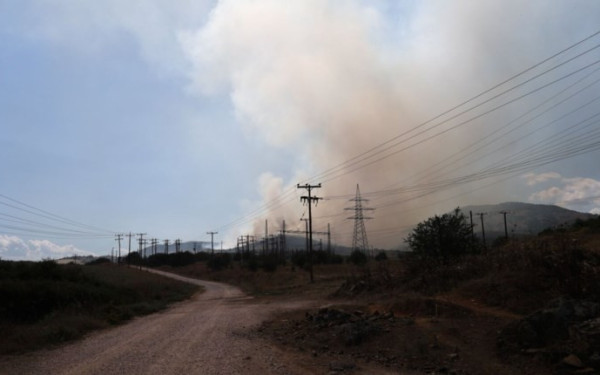 Λάρισα: Υπό μερικό έλεγχο η φωτιά στον Αργυρόμυλο - Οριοθετήθηκε το μέτωπο