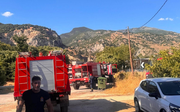 Σέρρες: Οριοθετήθηκε η φωτιά στην Οινούσσα- Ζημιές σε αυλές και κτηνοτροφική μονάδα (βίντεο)
