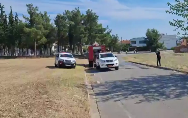Θεσσαλονίκη: Χειροπέδες σε 66χρονο για τη φωτιά στο Τριάδι Θέρμης - Πώς προκλήθηκε η πυρκαγιά