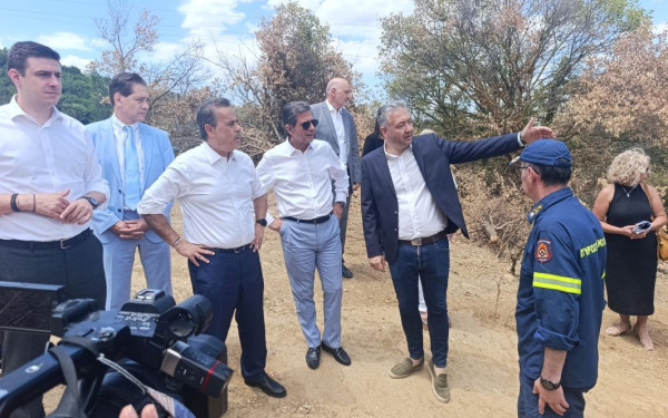 Στ. Παπασταύρου: Δεν υπάρχουν, ούτε θα εγκατασταθούν ανεμογεννήτριες στο Ωραιόκαστρο