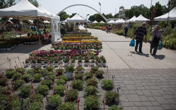 Με λουλούδια, χρώματα και αρώματα… πλημμυρίζουν οι Αμπελόκηποι