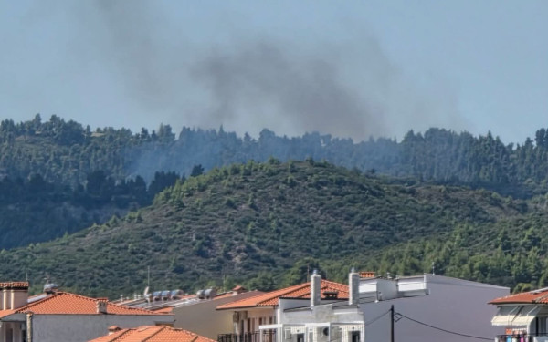 Συναγερμός στη Χαλκιδική: Φωτιά ξέσπασε σε δασική έκταση