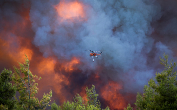 Συνελήφθη 44χρονος για τη φωτιά στην Κεφαλονιά - Στον εισαγγελέα οι δυο συλληφθέντες για τη φωτιά στη Βοιωτία