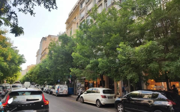 Δήμος Θεσσαλονίκης: Μήνυηση κατ' αγνώστων για δύο δέντρα που ξεράθηκαν