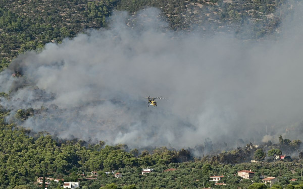 Δ. Αττική: Μάχη με τις διάσπαρτες εστίες στην Ψάθα – Συνεχείς οι προσπάθειες για την πλήρη οριοθέτηση