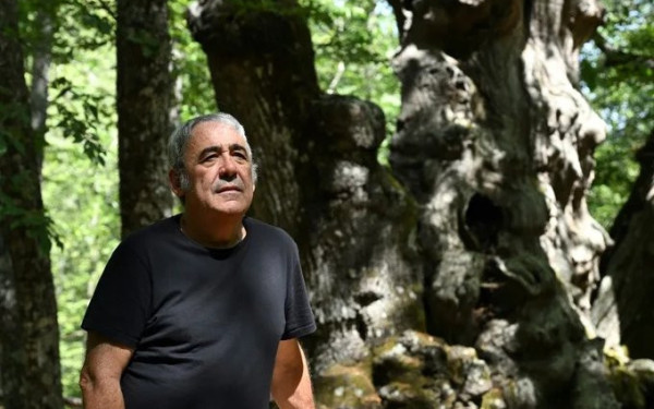 Ισπανία: Πόλη ενώθηκε για να σώσει μία καστανιά 500 ετών από τις φλόγες
