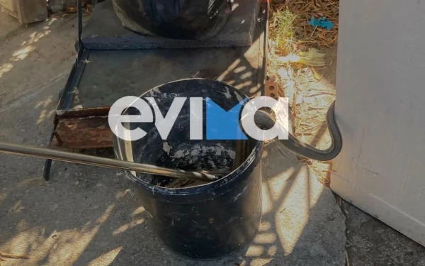 Φίδι δύο μέτρων εισέβαλε σε αποθήκη κατοικίας στην Εύβοια
