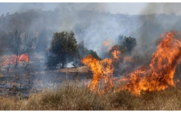 Συναγερμός στη Μυτιλήνη: Εκκενώνονται προληπτικά τμήματα του Πλωμαρίου λόγω πυρκαγιάς (βίντεο)