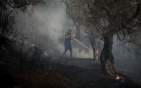 Στα 614 ο απολογισμός των καμένων στρεμμάτων από την πυρκαγιά στο Πλωμάρι - Ελαιώνες τα περισσότερα