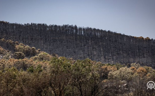 «Καμίνι» η Ιταλία: Σε κόκκινο συναγερμό 25 πόλεις