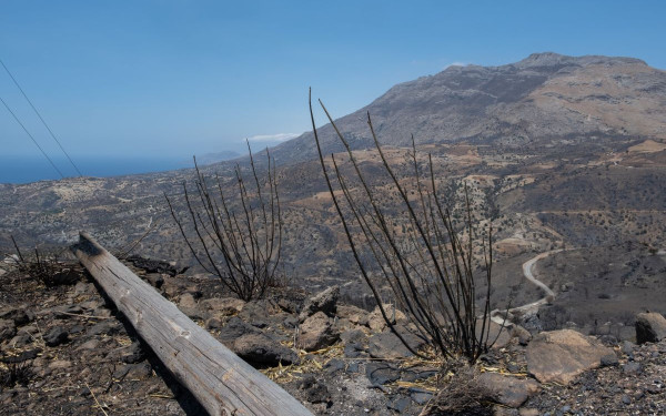 Ρέθυμνο: Οι εικόνες από την επόμενη ημέρα της φονικής πυρκαγιάς – Το αποτύπωμα της καταστροφής στην Πρέβελη