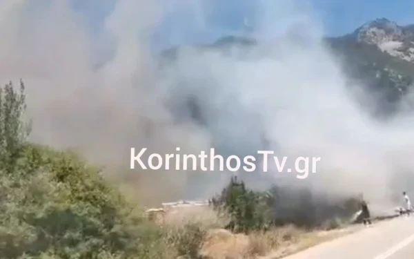 Πυρκαγιά στο Σκάλωμα Φώκιδας - Ενισχύθηκαν οι πυροσβεστικές δυνάμεις - Μήνυμα του 112 για εκκένωση 7 περιοχών