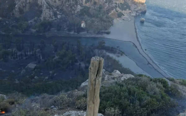 Ρέθυμνο: Βελτιωμένη η εικόνα της φωτιάς στην Πρέβελη - Oι φλόγες έφτασαν ως το φοινικόδασος (βίντεο)