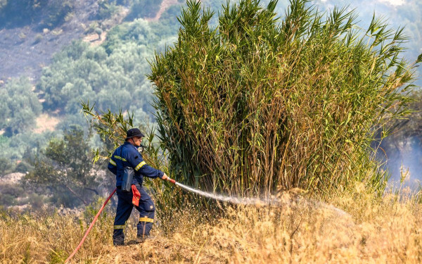 Αιγιαλεία: Βελτιώθηκε η εικόνα της φωτιάς