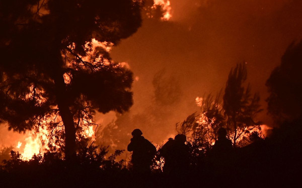 Δυτική Αττική: 480.000 στρέμματα δάσους έχουν καεί σε 9 χρόνια